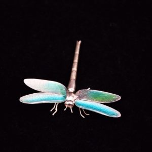 Silver dragonfly